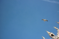 around-the-world_09