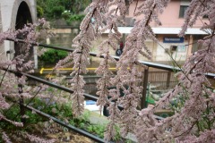 down-to-earth_08