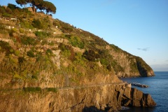 down-to-earth_11