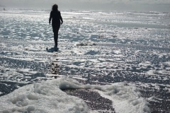 down-to-earth_12