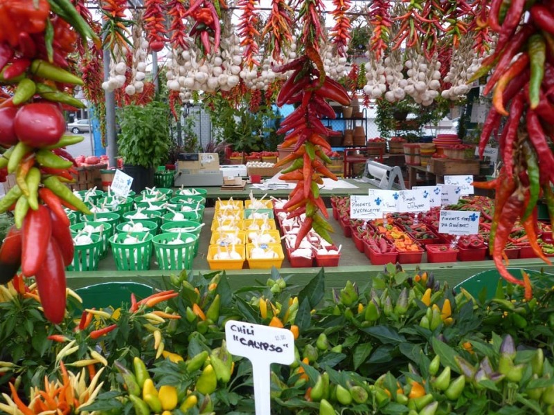 jean-talon_34